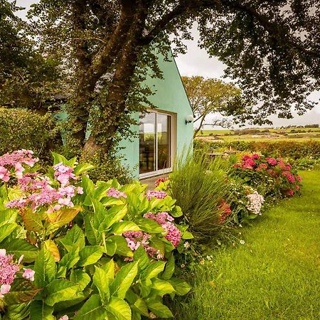 The Wild Atlantic Hideaway Apartment Clonakilty Ngoại thất bức ảnh